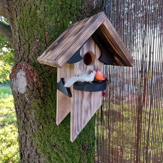 Antique Bird Nest Home Wood Bird Nest Vintage Bird House Love Bird Bird Home Unique Bird Home Wood Art Bird Box Garden Birds Etsy