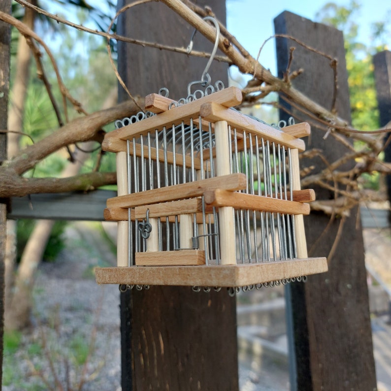 Pu&ograve; includere: Una piccola gabbia per uccelli in legno con una rete metallica all'interno &egrave; appesa a un ramo. La gabbia &egrave; in legno marrone chiaro e ha un design semplice.