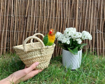 Mini Straw Bag / Flowers Basket / Flower Girl Basket / Basket Bag / Summer Bag / Wedding Flower Basket / Hanging Basket / Kitchen Decor