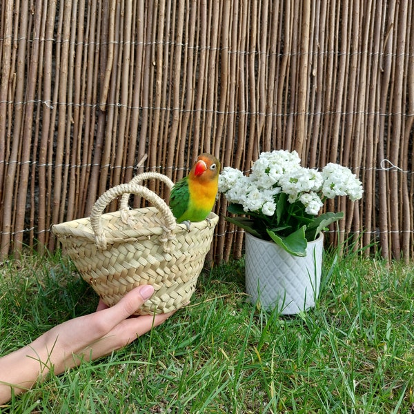 Mini Straw Bag / Flowers Basket / Flower Girl Basket / Basket Bag / Summer Bag / Wedding Flower Basket / Hanging Basket / Kitchen Decor