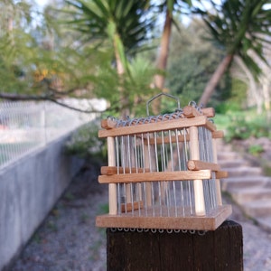 Pu&ograve; includere: Una piccola gabbia per uccelli in legno con una rete metallica all'interno. La gabbia &egrave; appoggiata su un palo di legno.