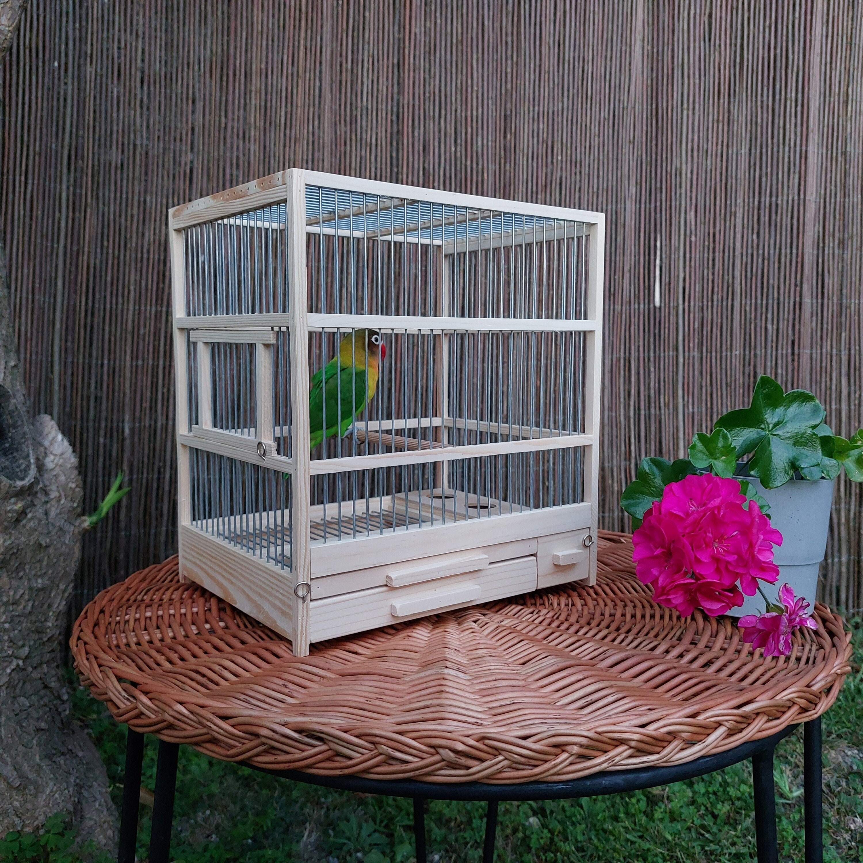 Antique Bird Cage - Etsy