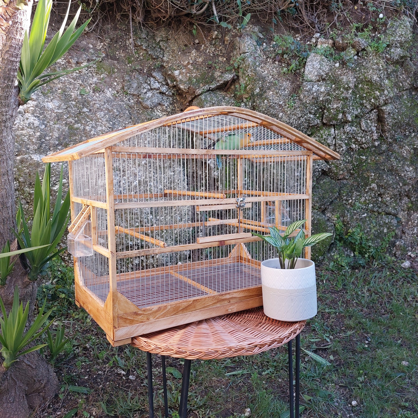 Large Curved Bird Cage Brown / Handmade Art / Decorative Bird Cage ...