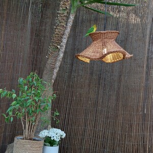 May include: A woven brown pendant light with a flared shade hangs from a black cord. A small green and yellow bird perches on top of the light fixture. The background includes a bamboo fence, a tree trunk, and potted plants.