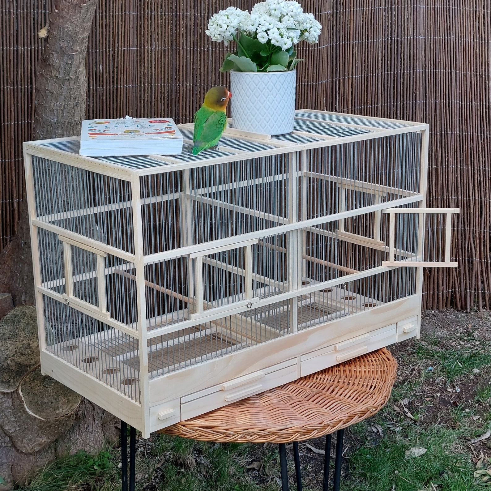 Large Rectangular Bird Cage Full Handmade / Canary Cage / Bird Etsy