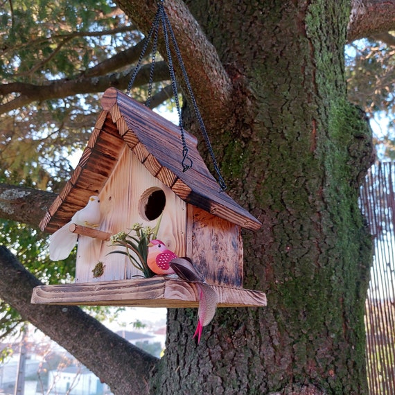 Maison En Bois Pour Colibris, Nid Solide Pour Oiseaux, Décoration De  Jardin, Villa Pour Oiseaux D'extérieur, Maison Pour Oiseaux À L'extérieur -  Temu Belgium