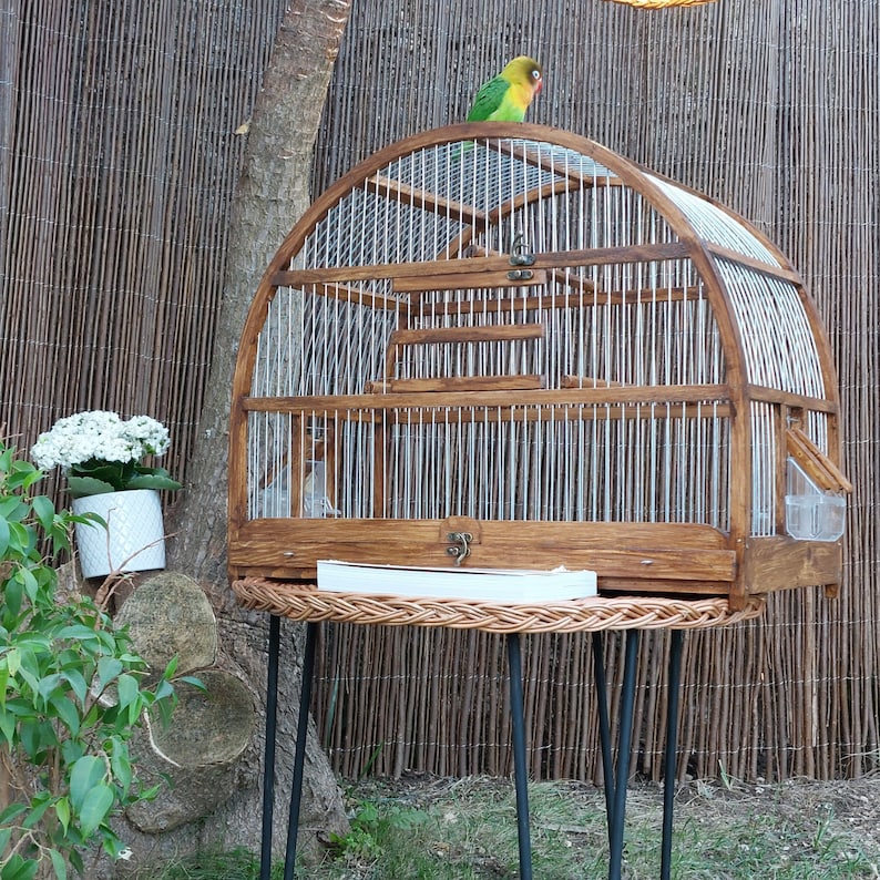 May include: A wooden birdcage with a brown finish and a white metal wire interior. The cage is on a black metal stand with a woven wicker top. A green and yellow parakeet is perched on top of the cage.