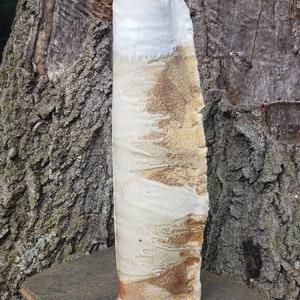 Wood fired ceramic sculpture