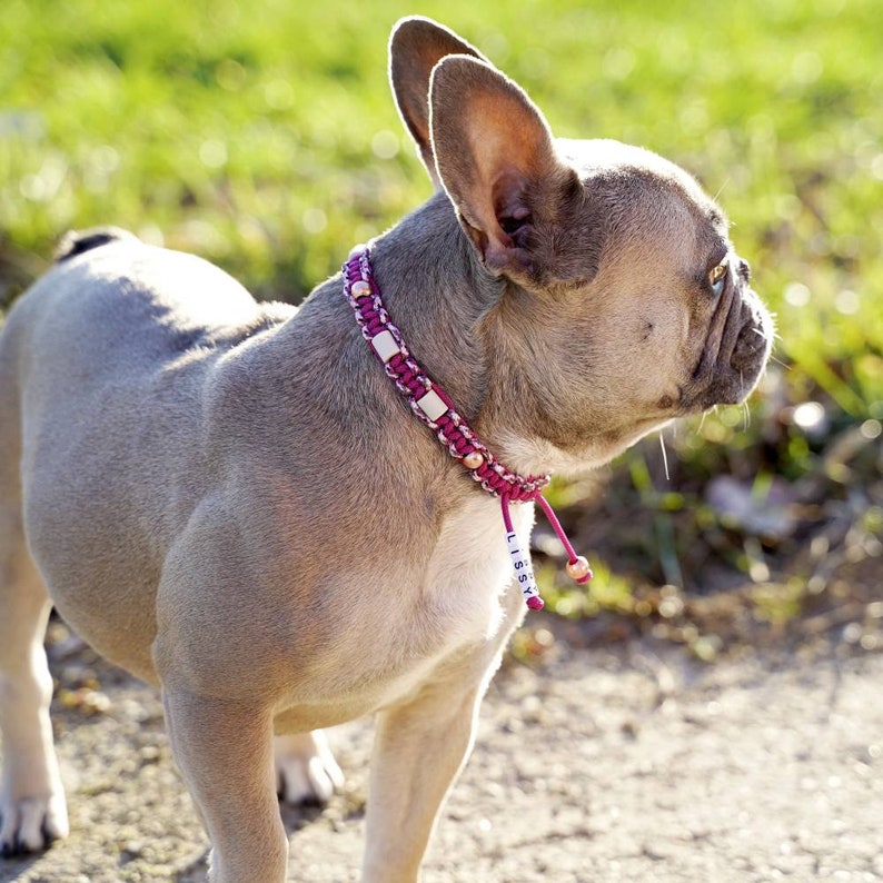 Zeckenhalsband / EM-Keramik-Halsband für Hunde Bild 2