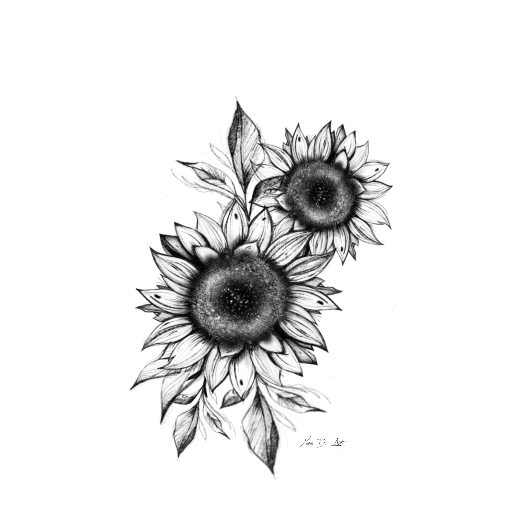 Black and white sunflower sketch art print wall art. Drawing. | Etsy