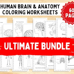 May include: A set of 60+ black and white coloring pages featuring human anatomy, including the brain, skeletal system, circulatory system, and female reproductive system. The title "ULTIMATE BUNDLE" is written in red across the top of the pages.