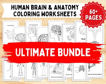 Human Anatomy Body Ultimate Bundle! | 60+ Pages | Workbooks | Study Bundle - PDF | Printable Activity