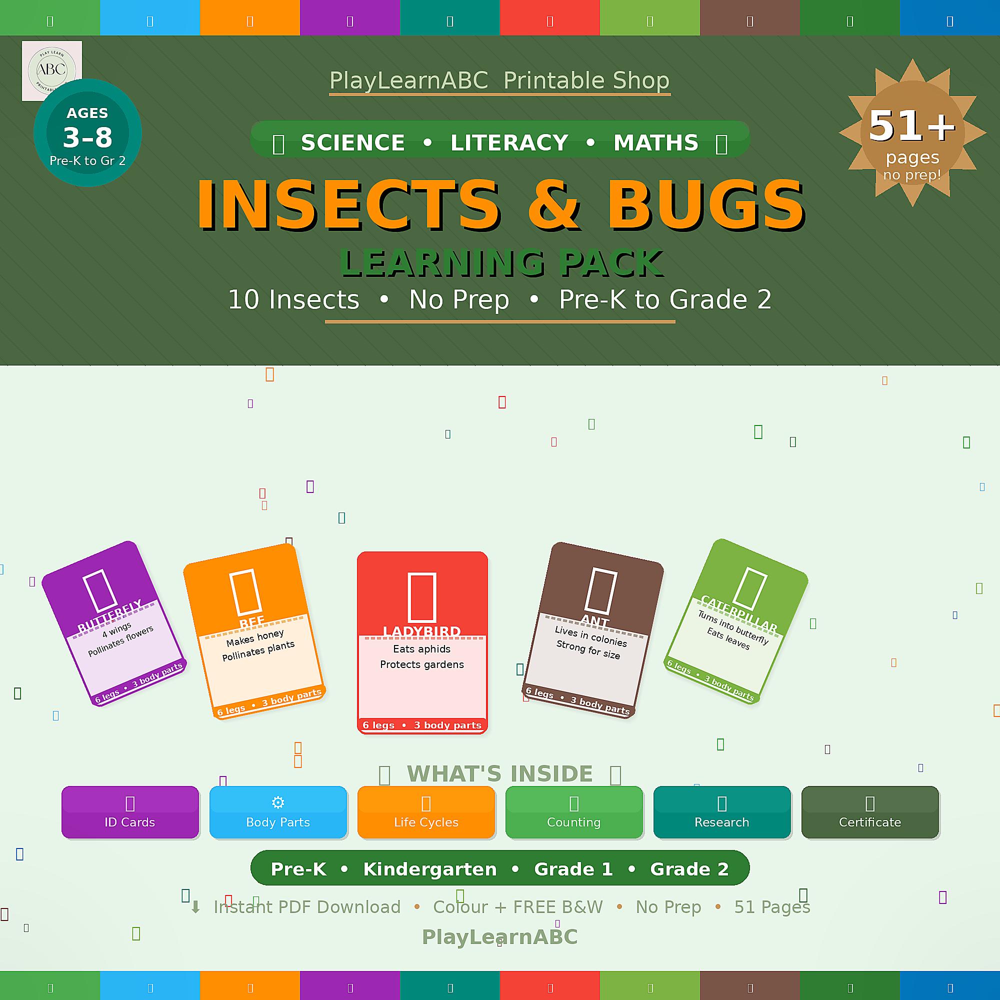 Insects and Bugs Learning Pack | No Prep | Pre-k Grade 1 Grade 2 ...