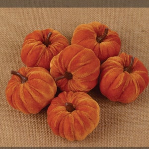 Small Orange or Cream Pumpkins Set/6