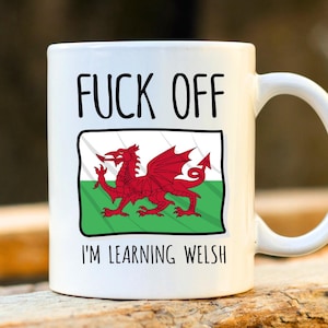 Fuck Off I'm Learning Welsh Mug - Welsh To English, Wales Mug, Rude Mug, Funny Mugs, Funny Cymraeg Mugs, Welsh Student, Profanity Gift
