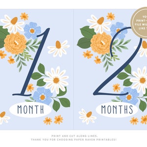 Month Cards PRINTABLE Baby Monthly Milestone Cards 12 Month Cards Baby Markers Baby ...