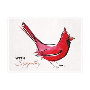 Lots de cartes postales Cardinal avec sympathie (enveloppes incluses)