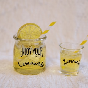 Faux Mini Drinks / Fake Drinks