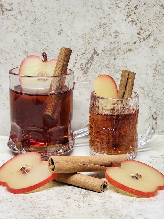 Hot Apple Cider / Fake Drink / Table Decor