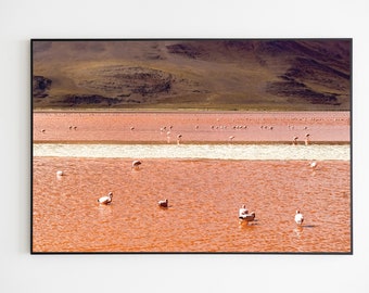 Colorada | Fine Art print - Landscape - Laguna - Flamingos - Andes - Bolivia - Altiplano