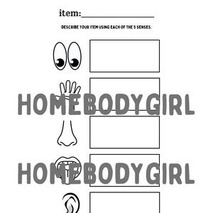 5 Senses Worksheet | Preschool | PDF | Homeschooling | Science Worksheet | Prekindergarten Skills