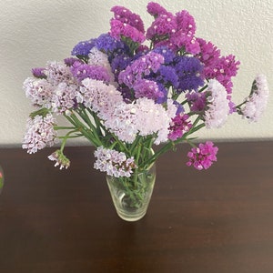 Puede incluir: Un jarrón de cristal transparente contiene un vibrante ramo de flores de statice. Las flores muestran una gama de tonos púrpuras, desde lavanda claro hasta violeta oscuro, creando una exhibición colorida. El jarrón está sobre una superficie de madera marrón oscuro.