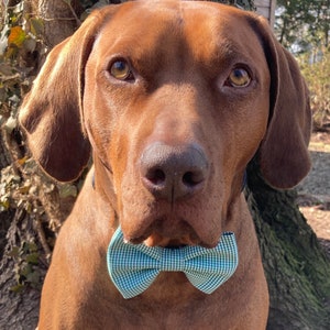 Fliege für Hunde//Wiederverwendete Kleidung//Recycelte Materialien//Handarbeit//Tier Geschenk//Tieraccessoires//Welpenschleife//Fliege//Katzenfliege//Fliege