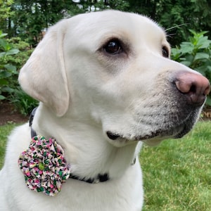 Flower For Pet Collar//Dog Collar Accessory//Dog Flower Accessory//Cat Collar Accessory//Bandana Flower//Collar Embellishment