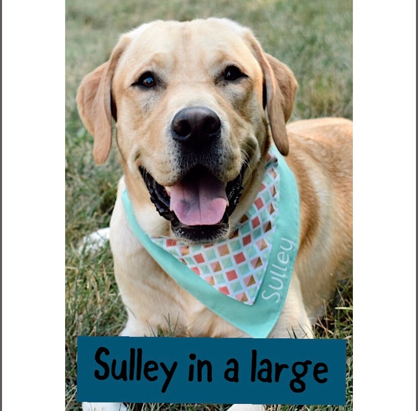 Personalized over the collar dog bandana Etsy