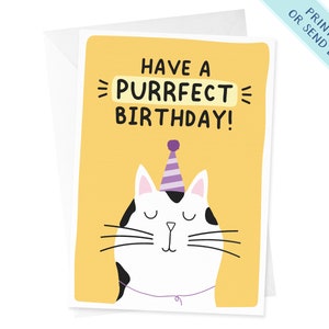 Cat Birthday Card | Have a Purrfect Birthday | Funny Cat Card | Birthday Card | Cat Lover Card | Crazy Cat Lady Birthday Card