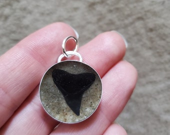 Shark tooth pendant