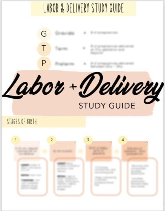 Labor and Delivery Nursing Study Guide 3 pages PDF Etsy
