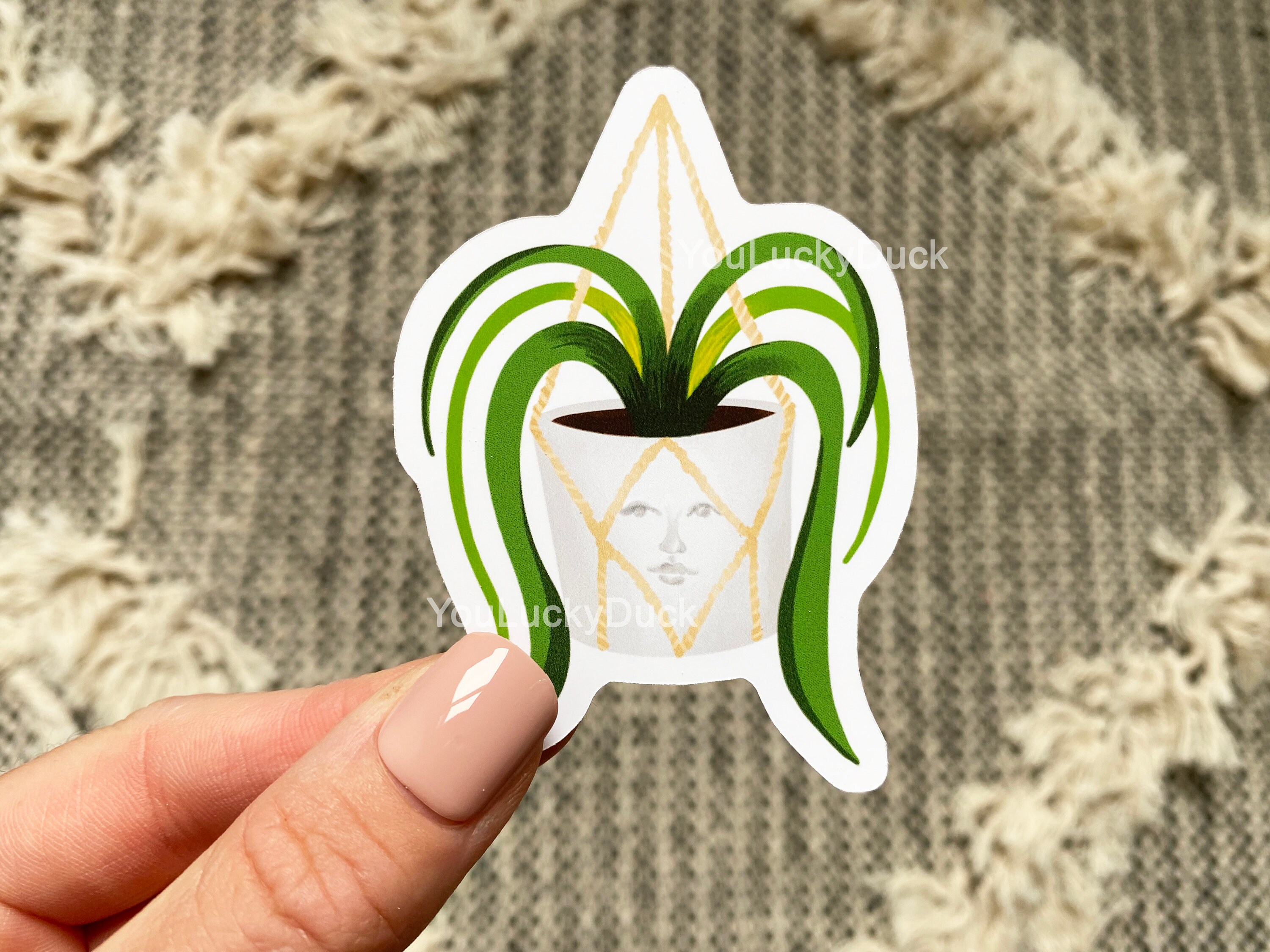 Hanging Plant with Face Sticker / Plant Sticker / Matte Vinyl Etsy