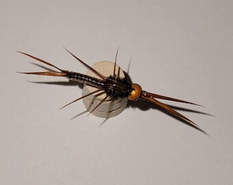 May include: A brown and black fly fishing lure with a gold head and long, thin wings.