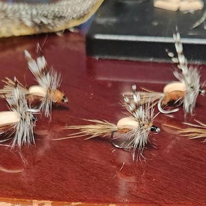 May include: Five brown and white fly fishing lures with brown feathers and white wings.