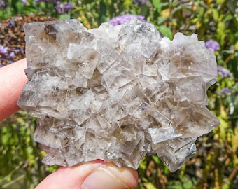 Sherry Twins Pocket Fluorite Lady Annabella Mine UK English