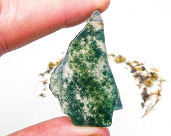 Rebanada de ágata musgosa pulida: cristal de cuarzo dendrítico verde