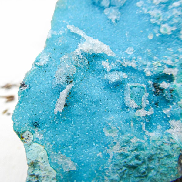 Chrysocolla with Druzy Quartz Specimen from DR Congo • Raw Natural Blue Crystals