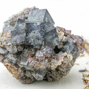 K&ouml;nnte beinhalten: Ein Cluster aus gr&uuml;nen und violetten Fluoritkristallen, mit einigen kleineren Kristallen, die in die Matrix eingebettet sind. Die Kristalle sind scharf und gut definiert, mit einem glasartigen Glanz.