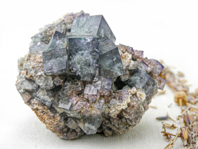 K&ouml;nnte beinhalten: Ein Cluster aus gr&uuml;nen und violetten Fluoritkristallen, mit einigen kleineren Kristallen, die in die Matrix eingebettet sind. Die Kristalle sind scharf und gut definiert, mit einem glasartigen Glanz.