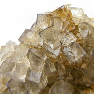 May include: A cluster of translucent, light brown fluorite crystals with a cubic shape. The crystals are arranged in a random pattern, creating a unique and interesting display.