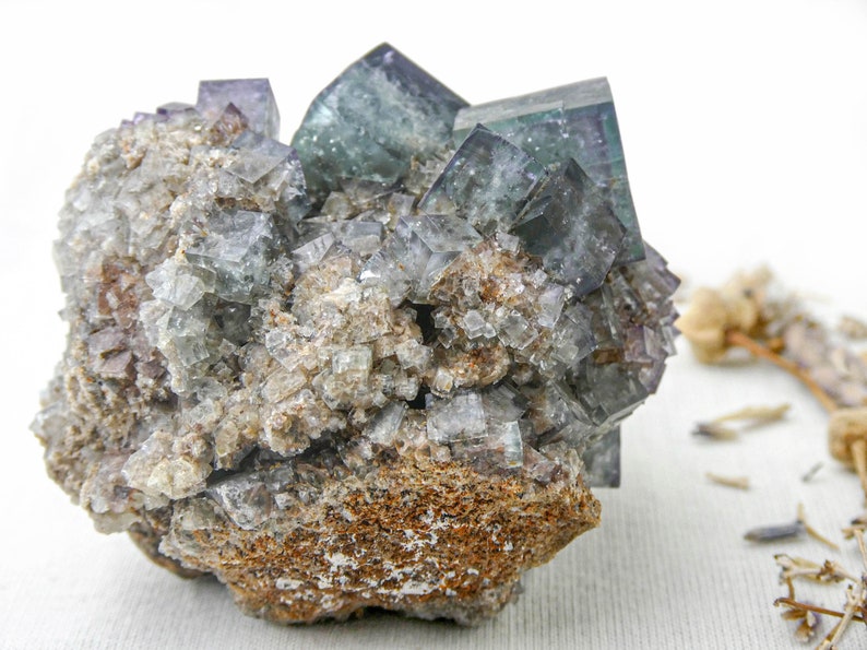 K&ouml;nnte beinhalten: Ein Cluster aus gr&uuml;nen und violetten Fluoritkristallen, eingebettet in eine braune Gesteinsmatrix. Die Kristalle sind scharf und gut definiert, mit einem glasartigen Glanz.