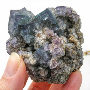 K&ouml;nnte beinhalten: Ein Cluster aus gr&uuml;nen und violetten Fluoritkristallen auf einer grauen Matrix. Die Kristalle sind w&uuml;rfelf&ouml;rmig und haben einen glasartigen Glanz.