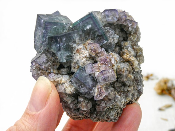Green Fluorite Specimen with Purple Zoning from the Fairy Holes Pocket, Lady Annabella Mine, England • Rare Natural Crystal Cluster