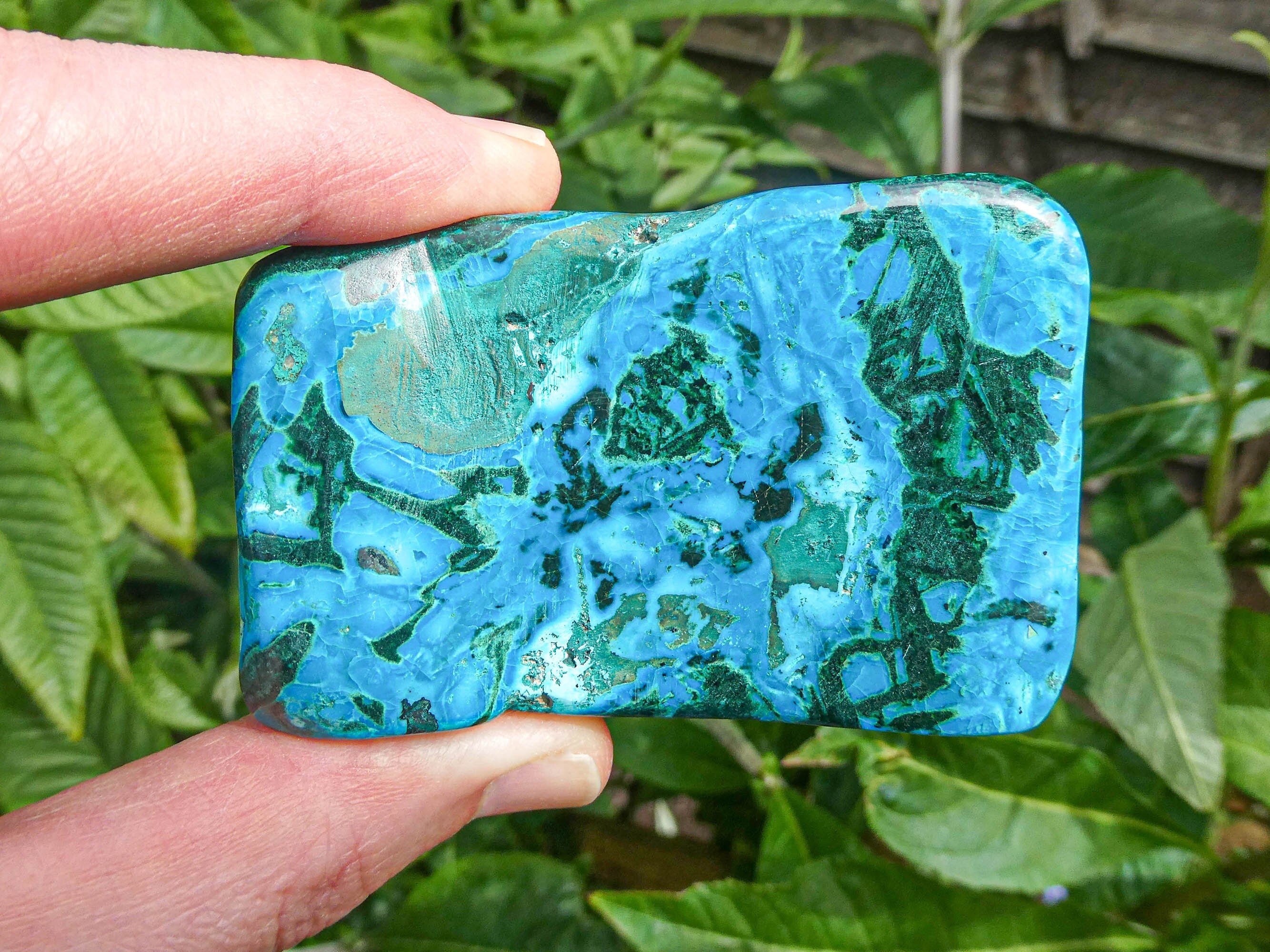 Chrysocolla Malachite Freeform: Polished Blue-Green Crystal from DR Congo