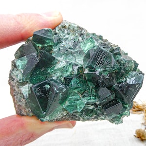 Può includere: Un gruppo di cristalli di fluorite verde con una superficie ruvida e naturale. I cristalli sono nitidi e ben definiti, con una lucentezza vitrea.
