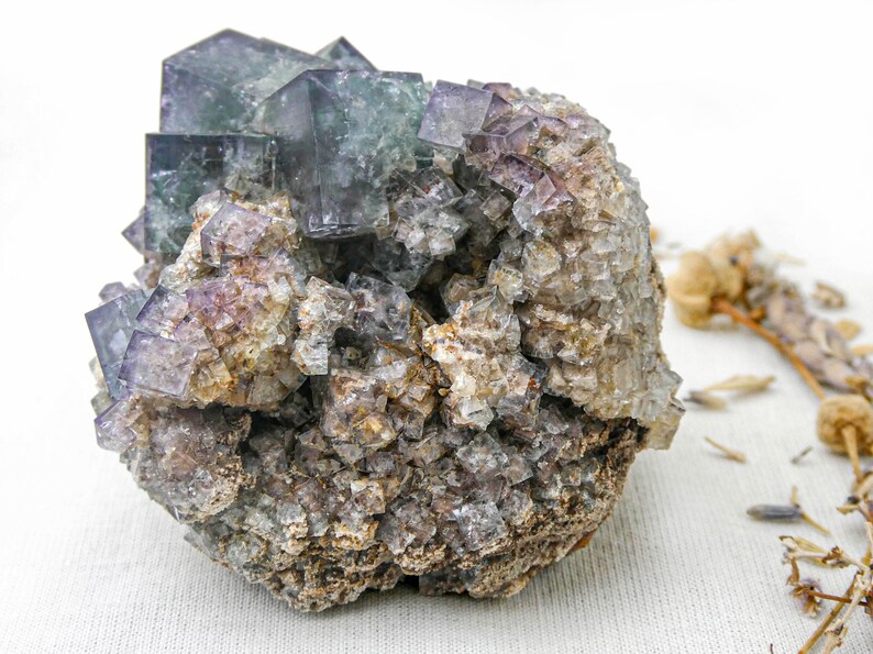 K&ouml;nnte beinhalten: Ein Cluster aus violetten und gr&uuml;nen Fluoritkristallen in einer rauen, braunen Matrix. Die Kristalle sind w&uuml;rfelf&ouml;rmig und haben einen glasartigen Glanz.
