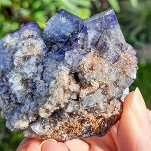 K&ouml;nnte beinhalten: Ein Cluster aus violetten Fluoritkristallen mit einer rauen, braunen Matrix. Die Kristalle sind durchscheinend und haben einen glasartigen Glanz.
