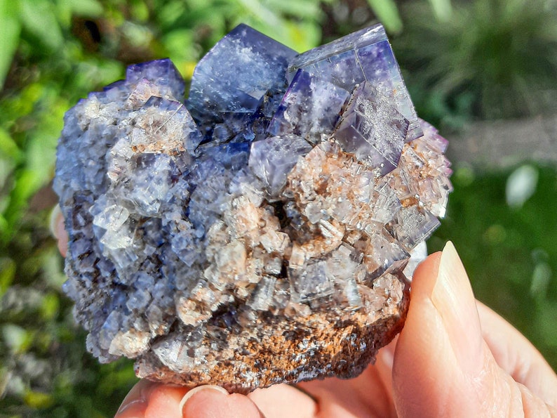 K&ouml;nnte beinhalten: Ein Cluster aus violetten Fluoritkristallen mit einer rauen, braunen Matrix. Die Kristalle sind durchscheinend und haben einen glasartigen Glanz.
