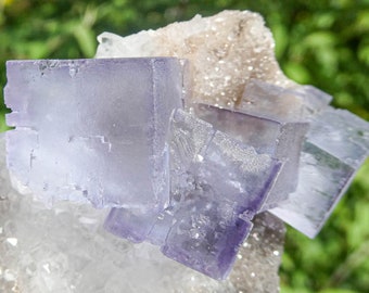 Könnte beinhalten: Ein Cluster aus violetten Fluoritkristallen mit einer klaren, weißen Quarzmatrix. Die Fluoritkristalle sind durchscheinend und haben einen leichten violetten Farbton. Die Quarzmatrix ist rau und strukturiert.